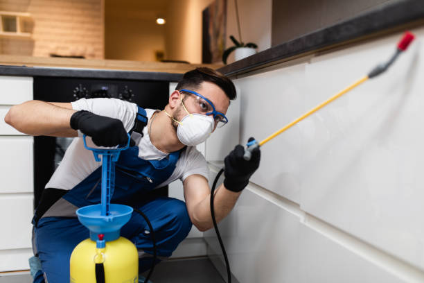 Best Rat Extermination Near Me  in Bessemer City, NC