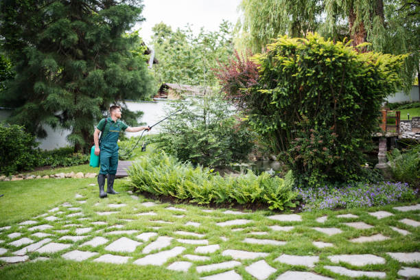 Best Pest Prevention Services  in Bessemer City, NC