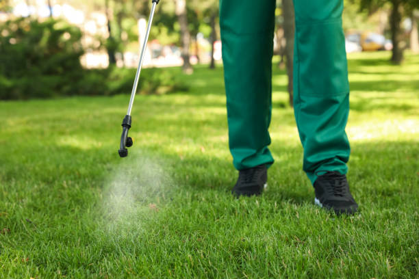 Best Spider Control Near Me  in Bessemer City, NC