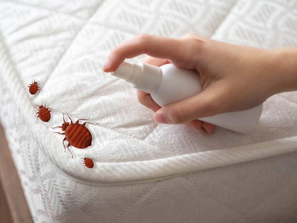 Best Pest Removal Services  in Bessemer City, NC