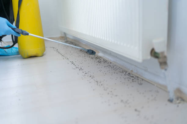 Best Bed Bug Extermination  in Bessemer City, NC