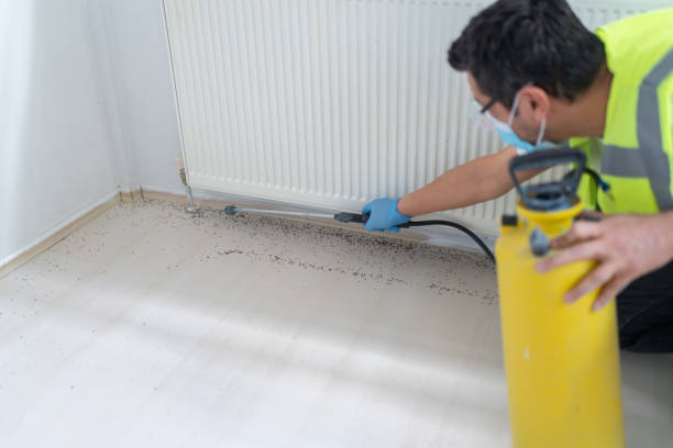 Reliable Bessemer City, NC Pest Control Solutions